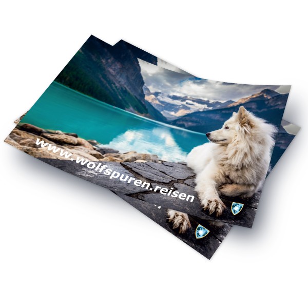 MWR Postkarte – Wolfspuren mit Code-Eindruck